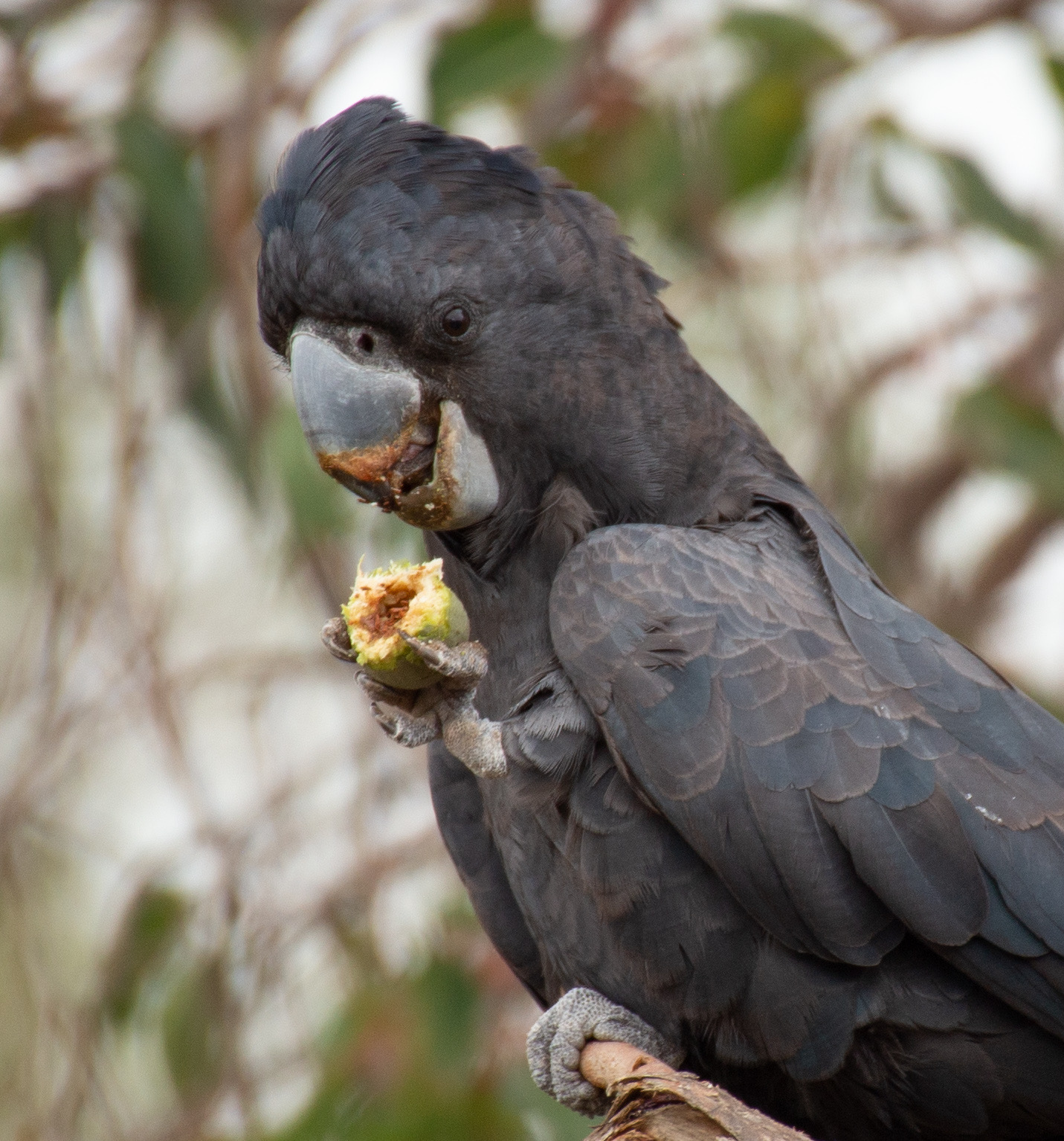 [IMAGE]7